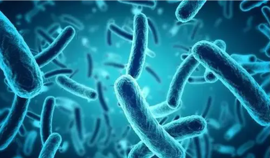 【院感科普】耐药菌，您知道吗？(图1)