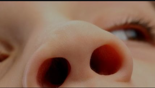 解锁大鼻孔如何配合鼻负压置换技术?(图4)