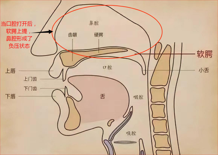 解锁大鼻孔如何配合鼻负压置换技术?(图6)
